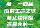 翁止熄痒婉燕，一曲和谐的生命之歌翁止熄痒婉燕最火的一句