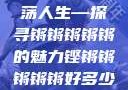 铿锵韵律，激荡人生—探寻锵锵锵锵锵的魅力铿锵锵锵锵锵好多少破解