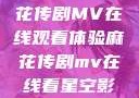 星空下的麻花传剧MV在线观看体验麻花传剧mv在线看星空影视评价