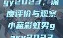 宏翔小蓝视频gy2023，深度评价与观察小蓝彩虹男gary2023的音乐作品