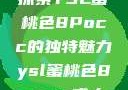 探索YSL蜜桃色8Pocc的独特魅力ysl蜜桃色8pocc成人