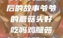 爷爷的蘑菇头，美味背后的故事爷爷的蘑菇头好吃吗鸡腿茹怎么做好吃鸡腿菇头怎么吃