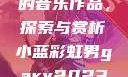 小蓝彩虹男Gary2023的音乐作品，探索与赏析小蓝彩虹男gary2023的音乐作品师哥