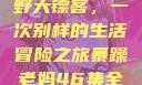 暴躁老妈与荒野大镖客，一次别样的生活冒险之旅暴躁老妈46集全免费观看