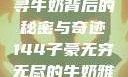 子豪的无穷牛奶世界，探寻牛奶背后的秘密与奇迹144子豪无穷无尽的牛奶雅趣阁小说免费阅读