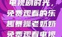 暴躁老奶奶的电视剧时光，免费观看的乐趣暴躁老奶奶免费观看电视剧完整版