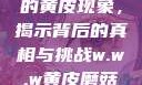 探索w.w.w下的黄皮现象，揭示背后的真相与挑战w.w.w黄皮磨菇招商