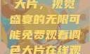 免费观看调色大片，视觉盛宴的无限可能免费观看调色大片在线观看