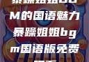 暴躁姐姐BGM的国语魅力暴躁姐姐bgm国语版免费观看