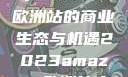 揭秘2023年Amazon欧洲站的商业生态与机遇2023amazon欧洲站大长颈