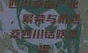四川桑蚕产业，繁荣与机遇桑四川话啥意思