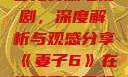 妻子6在线观看免费版电视剧，深度解析与观感分享《妻子6》在线观看免费版电视剧韩剧