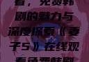 妻子5在线观看，免费韩剧的魅力与深度探索《妻子5》在线观看免费韩剧全集