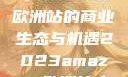揭秘2023年Amazon欧洲站的商业生态与机遇2023amazon欧洲站大长颈