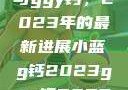 探索小蓝g钙与ggy钙，2023年的最新进展小蓝g钙2023ggy钙2023的功能介绍