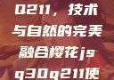 樱花JSQ30Q211，技术与自然的完美融合樱花jsq30q211使用说明
