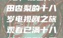 冲破青春之墙，观看冲田杏梨的十八岁电视剧之旅观看已满十八岁电视剧冲田杏梨让五