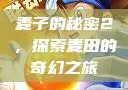 麦子的秘密2，探索麦田的奇幻之旅