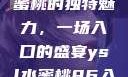 探索YSL水蜜桃的独特魅力，一场入口的盛宴ysl水蜜桃86入口直播