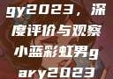 宏翔小蓝视频gy2023，深度评价与观察小蓝彩虹男gary2023的音乐作品