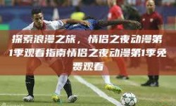 探索浪漫之旅，情侣之夜动漫第1季观看指南情侣之夜动漫第1季免费观看