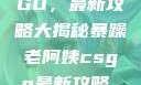 暴躁老阿姨教你玩转CSGO，最新攻略大揭秘暴躁老阿姨csgo最新攻略 适合五十岁阿姨