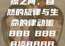嫩叶轻舞，槡搡之间，自然的旋律与生命的律动嫩BBB槡BBBB搡BBBB小说