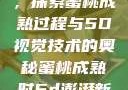 蜜桃成熟时，探索蜜桃成熟过程与5D视觉技术的奥秘蜜桃成熟时5d澎湃新闻