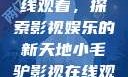 小毛驴影视在线观看，探索影视娱乐的新天地小毛驴影视在线观看免费版