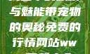 天堂中的妖精与魅能带宠物的奥秘免费的行情网站www下载大全