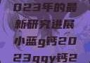 探索小蓝g钙与ggy钙，2023年的最新研究进展小蓝g钙2023ggy钙2023的功能介绍