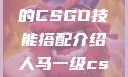 暴躁老阿姨的CSGO技能搭配介绍人马一级csgo交易网站