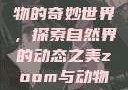 Zoom与动物的奇妙世界，探索自然界的动态之美zoom与动物zoom大全