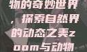 Zoom与动物的奇妙世界，探索自然界的动态之美zoom与动物zoom大全
