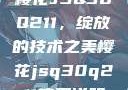 樱花JSQ30Q211，绽放的技术之美樱花jsq30q211使用说明