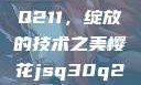 樱花JSQ30Q211，绽放的技术之美樱花jsq30q211使用说明