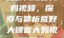 荒野大镖客大妈视频，探索与赏析荒野大镖客大妈视频剧情