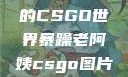 暴躁老阿姨的CSGO世界暴躁老阿姨csgo图片高清在线观看