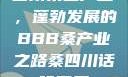 四川桑蚕产业，蓬勃发展的BBB桑产业之路桑四川话啥意思
