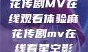 星空下的麻花传剧MV在线观看体验麻花传剧mv在线看星空影视评价