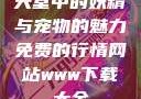 天堂中的妖精与宠物的魅力免费的行情网站www下载大全