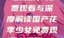 国产花季少女电视剧，免费观看与深度解读国产花季少女免费观看电视剧680.