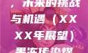 果冻传染煤，未来的挑战与机遇（XXXX年展望）果冻传染煤2024年