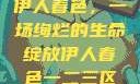 伊人春色，一场绚烂的生命绽放伊人春色一二三区