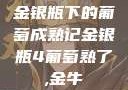 金银瓶下的葡萄成熟记金银瓶4葡萄熟了,金牛
