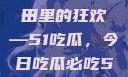 揭秘今日热点事件，瓜田里的狂欢—51吃瓜，今日吃瓜必吃51网站最新ip地址是多少