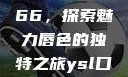YSL口红水蜜桃色号7766，探索魅力唇色的独特之旅ysl口红水蜜桃色号7766在线