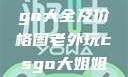 欧美大妈Logo大全及价格图老外玩csgo大姐姐的解决方法