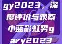 宏翔小蓝视频gy2023，深度评价与观察小蓝彩虹男gary2023的音乐作品