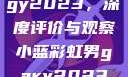 宏翔小蓝视频gy2023，深度评价与观察小蓝彩虹男gary2023的音乐作品